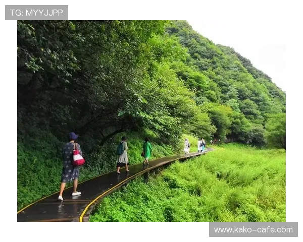 博友体育打造互动式体育社区促进用户交流与分享心得