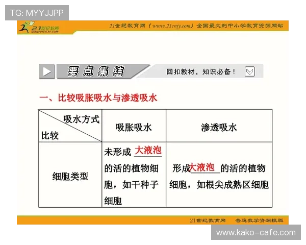 如何利用世预赛竞猜d一六八平台进行高效投注策略分析 如何利用世预赛竞猜d一六八平台进行高效投注策略分析
